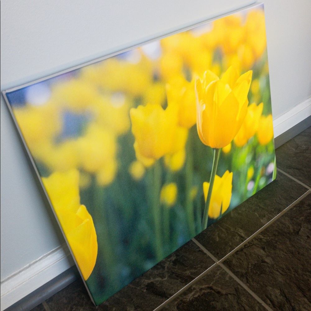 HOST PICK 🖼 Yellow Tulip Flowers Nature Photo on Canvas